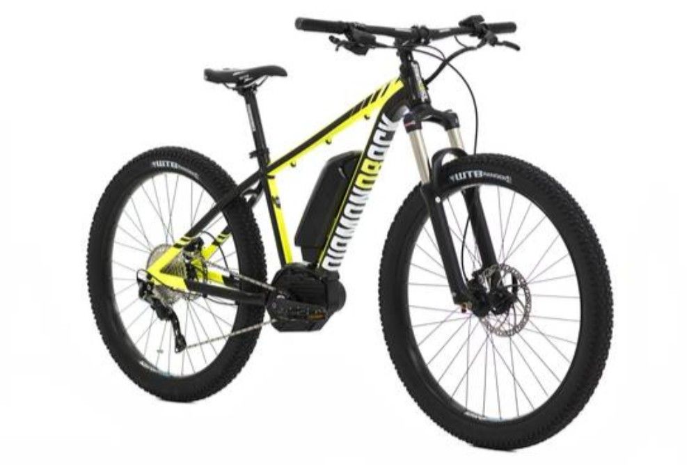 fat tire bike xl frame